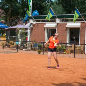 Programma zaterdag